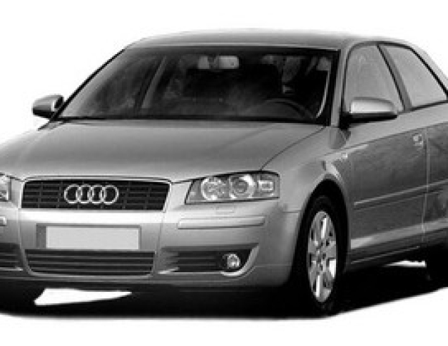 Автостелки Audi A3 8P (2005-2008)