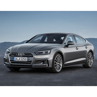 Автостелки Audi A5 (2016-…)