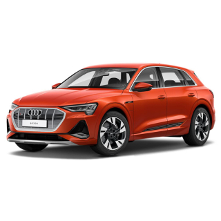 Автостелки Audi e-tron  (2018-…)