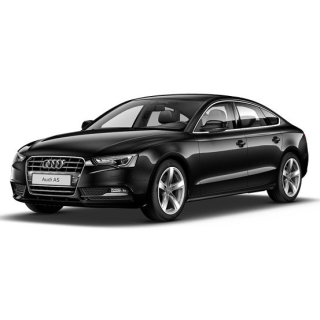 Автостелки Audi A5 (2009-2011)