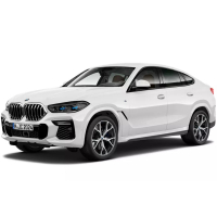 Автостелки BMW X6 G06 (2019-…)