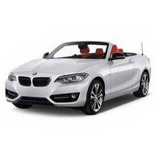 Автостелки BMW F22 2-Series (2013-…)
