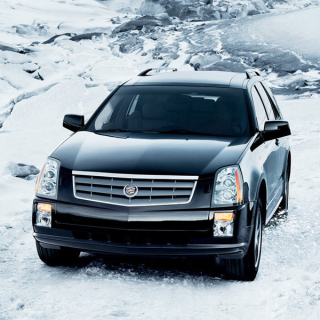 Автостелки Cadillac SRX (2004-2009)
