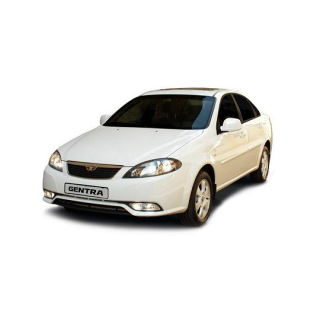 Автостелки Daewoo Gentra (2013-…)