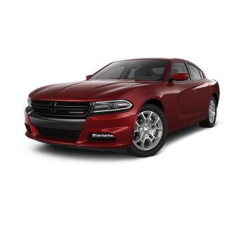 Автостелки Dodge Charger  (2014-…)