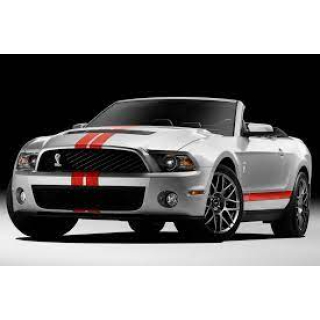 Автостелки Ford Mustang GT (2009-2014)