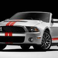 Автостелки Ford Mustang GT (2009-2014)