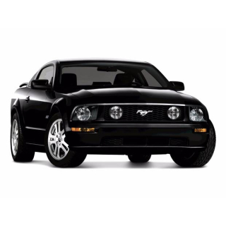 Автостелки Ford Mustang GT (2004-2009)