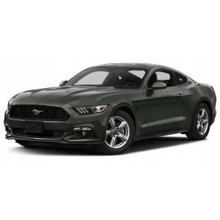 Автостелки Ford Mustang (2015-…)