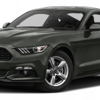Автостелки Ford Mustang (2015-…)