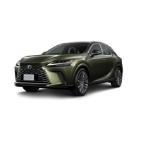 Автостелки Lexus RX 450h+ (2022-…)