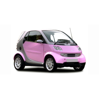Автостелки Mercedes-Benz SMART Fortwo (2003-2007)
