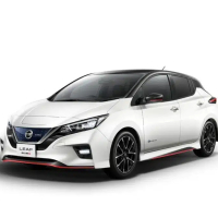 Автостелки Nissan Leaf (2017-…)