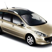 Автостелки Peugeot 307 (2001-2008)