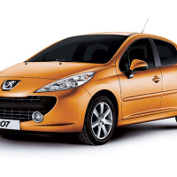 Автостелки Peugeot 207 (2006-2012)