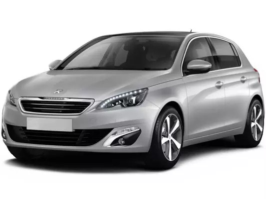 Автостелки Peugeot 308 (2013-2017)