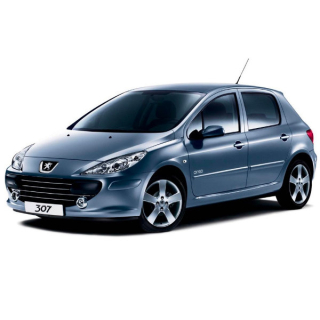Автостелки Peugeot 307 (2001-2005)