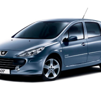 Автостелки Peugeot 307 (2001-2005)