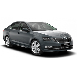 Автостелки Skoda Octavia A7 (2017-2019)