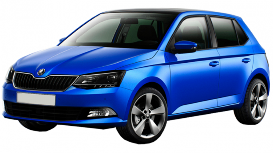 Автостелки Skoda Fabia (2014-…)