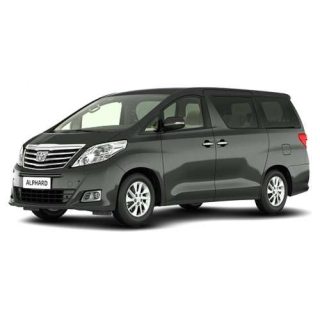 Автостелки Toyota Alphard (2002-2008)